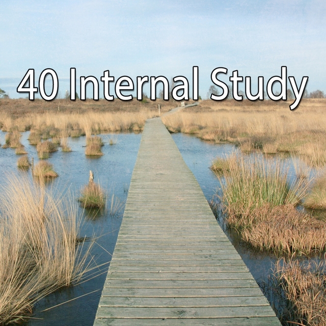 Couverture de 40 Internal Study