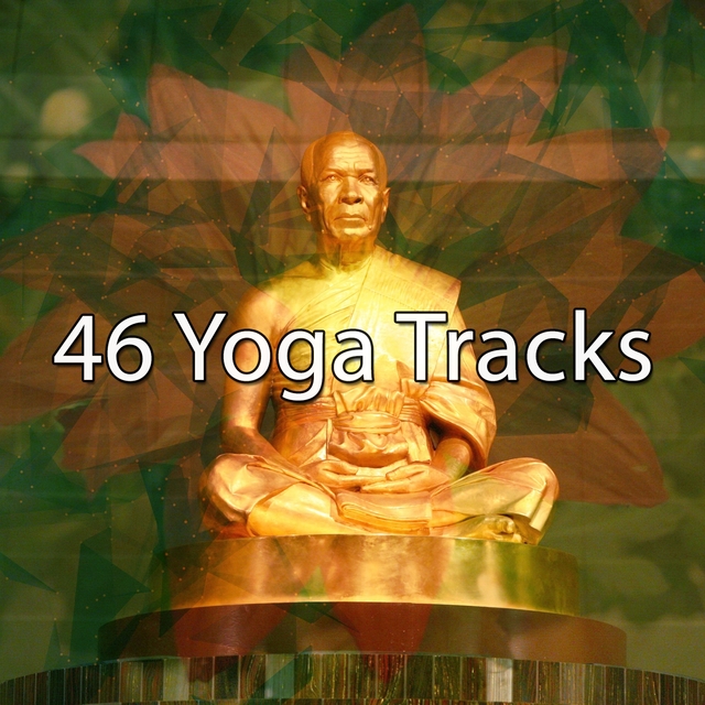 Couverture de 46 Yoga Tracks