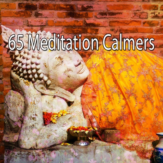 Couverture de 65 Meditation Calmers