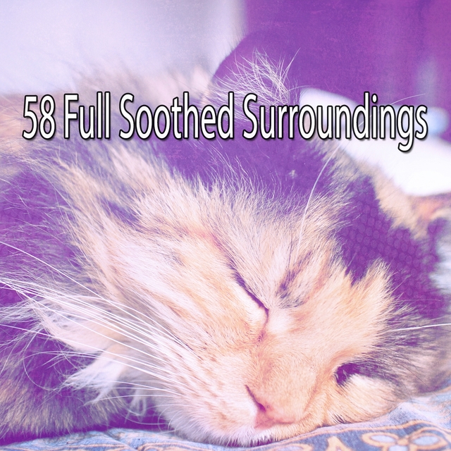 58 Full Soothed Surroundings