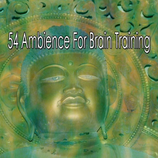 Couverture de 54 Ambience For Brain Training