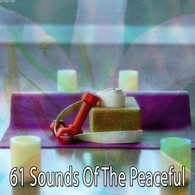 Couverture de 61 Sounds Of The Peaceful