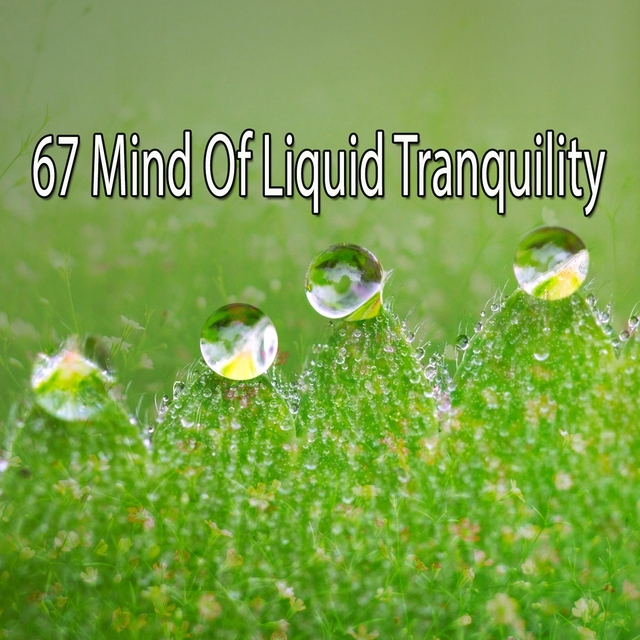 67 Mind Of Liquid Tranquility