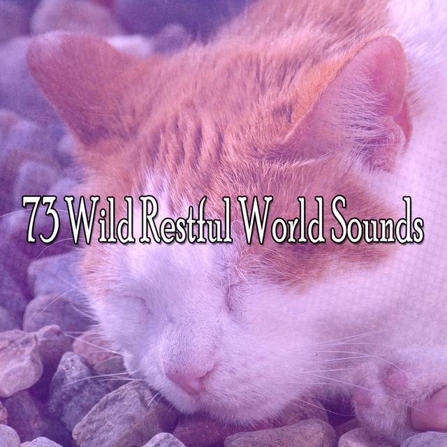 Couverture de 73 Wild Restful World Sounds