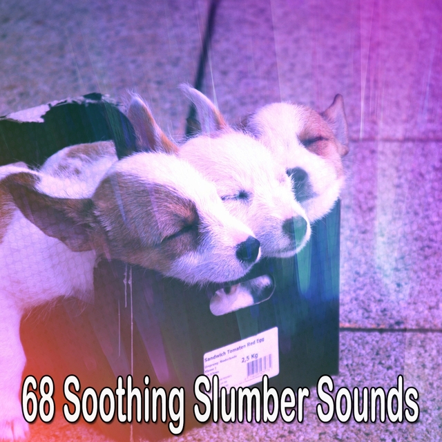 68 Soothing Slumber Sounds