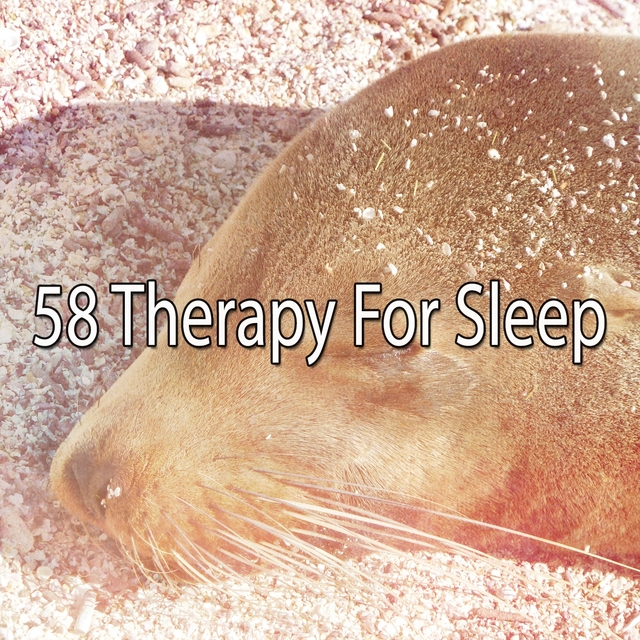 Couverture de 58 Therapy For Sleep