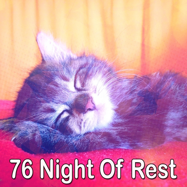 Couverture de 76 Night Of Rest