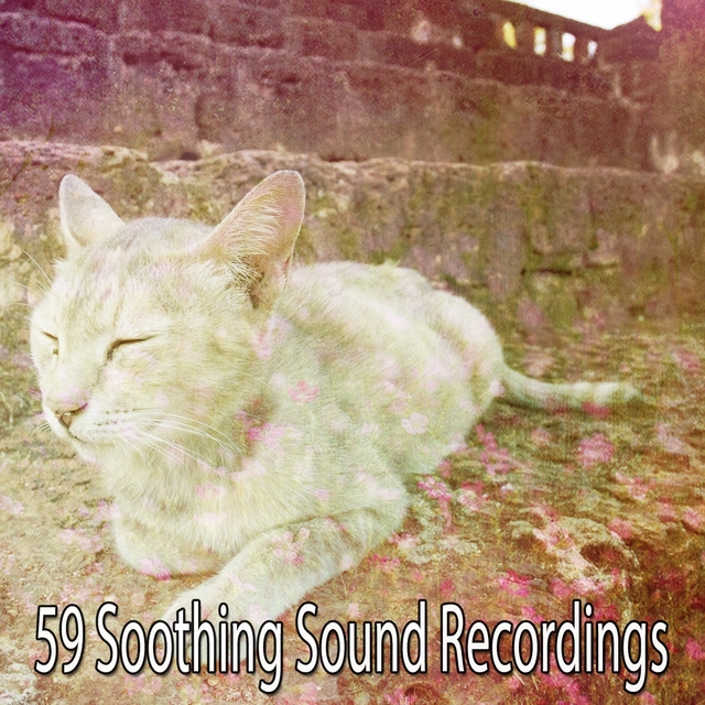 Couverture de 59 Soothing Sound Recordings