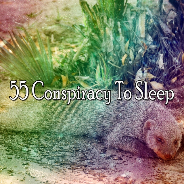 Couverture de 55 Conspiracy To Sleep