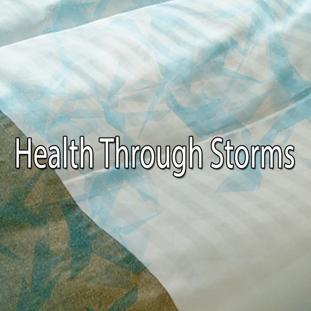 Couverture de Health Through Storms