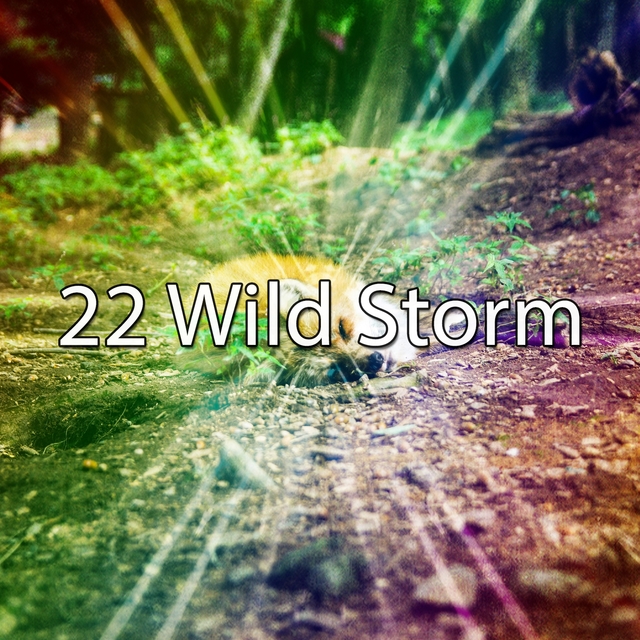 22 Wild Storm