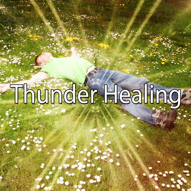 Couverture de Thunder Healing