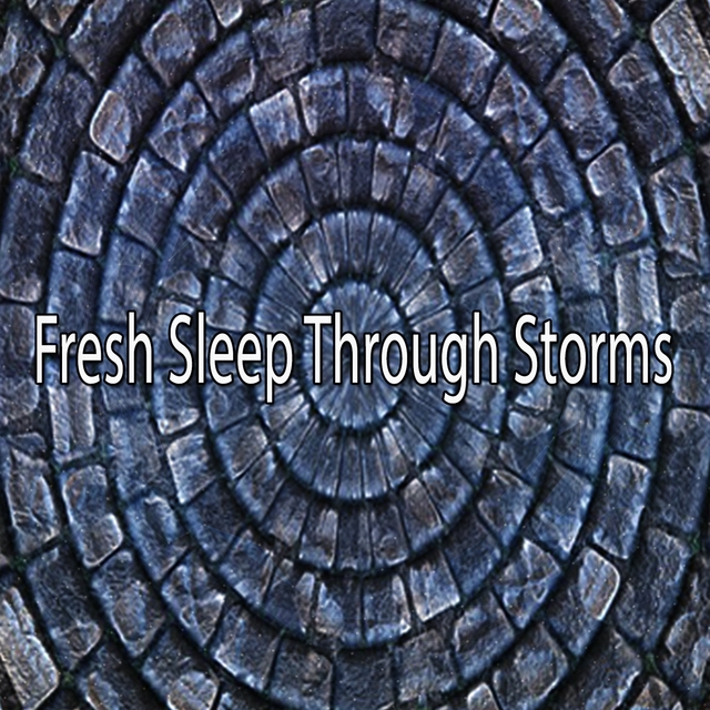 Couverture de Fresh Sleep Through Storms