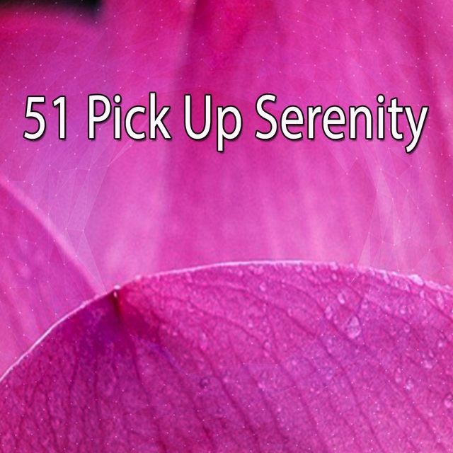 Couverture de 51 Pick Up Serenity