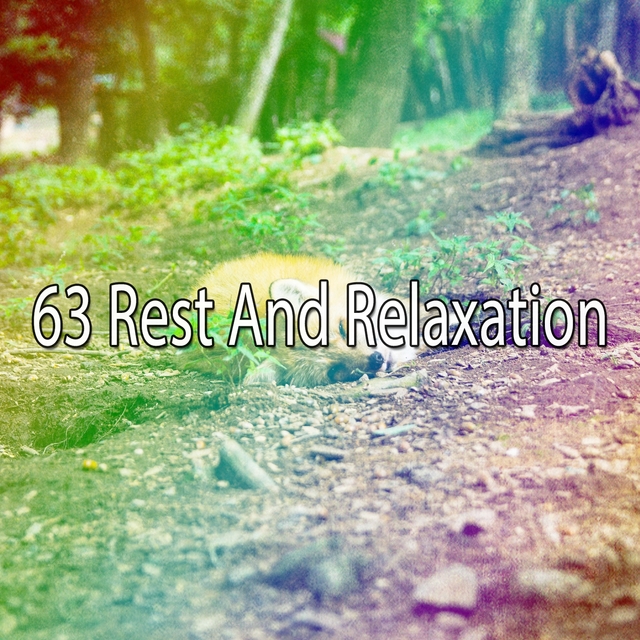 Couverture de 63 Rest And Relaxation