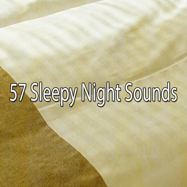 Couverture de 57 Sleepy Night Sounds