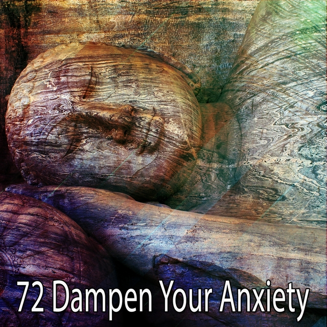 Couverture de 72 Dampen Your Anxiety