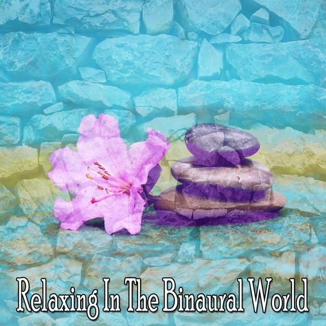 Couverture de Relaxing In The Binaural World