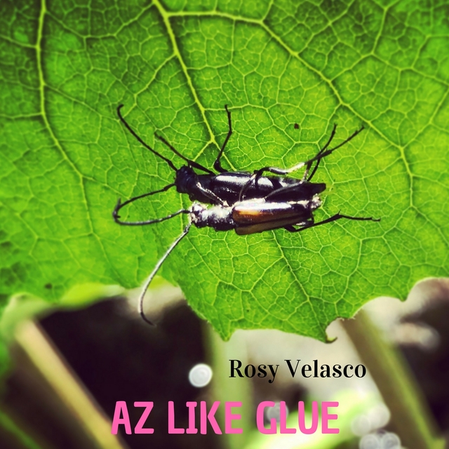 Couverture de Az Like Glue