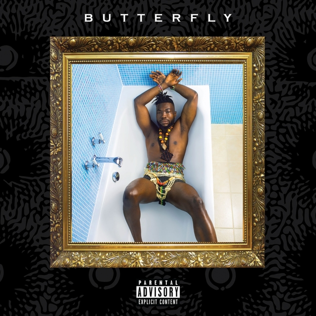 Couverture de Butterfly