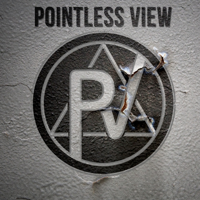 Couverture de Pointless View