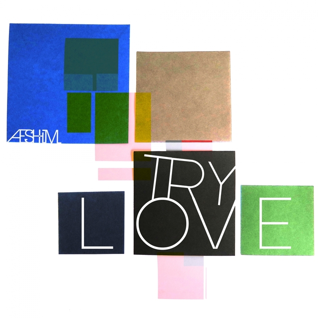 Couverture de Try Love