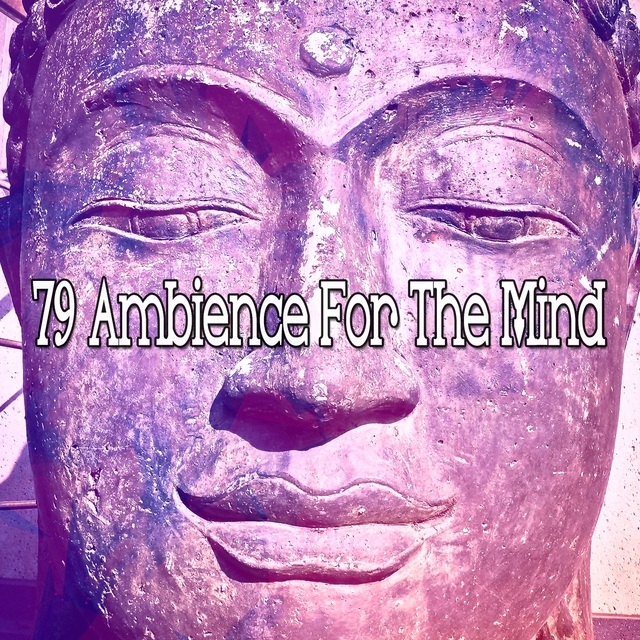 79 Ambience For The Mind