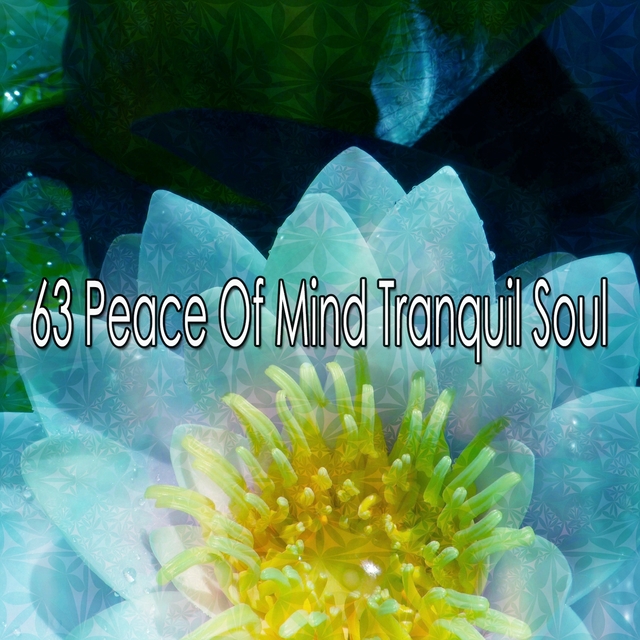 63 Peace Of Mind Tranquil Soul