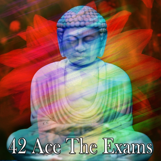 42 Ace The Exams