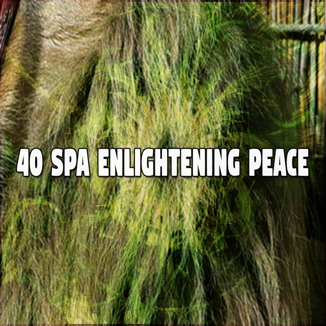 40 Spa Enlightening Peace