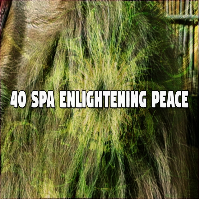 Couverture de 40 Spa Enlightening Peace