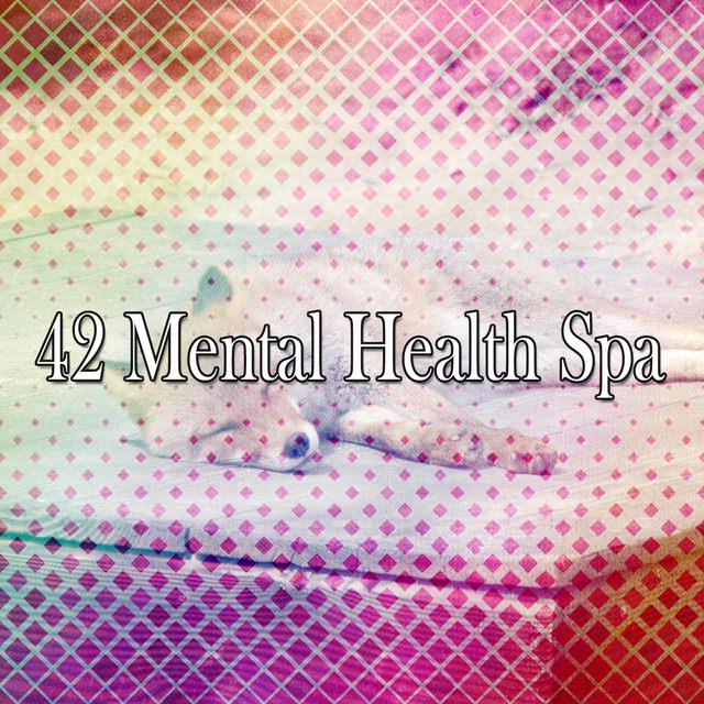 Couverture de 42 Mental Health Spa