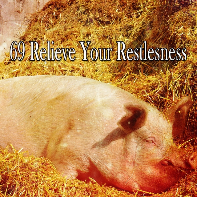 Couverture de 69 Relieve Your Restlesness