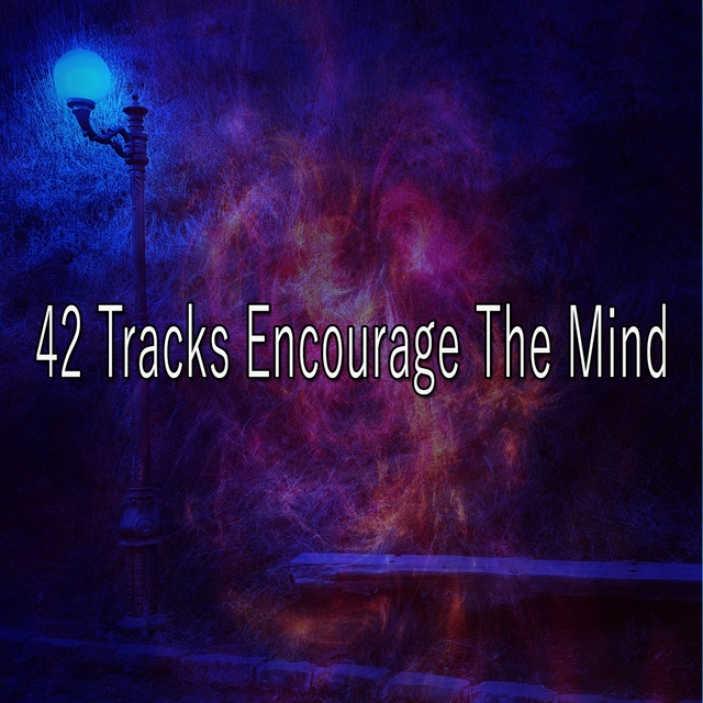 Couverture de 42 Tracks Encourage The Mind