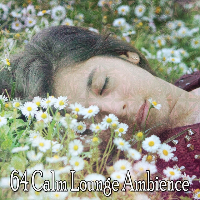 Couverture de 64 Calm Lounge Ambience