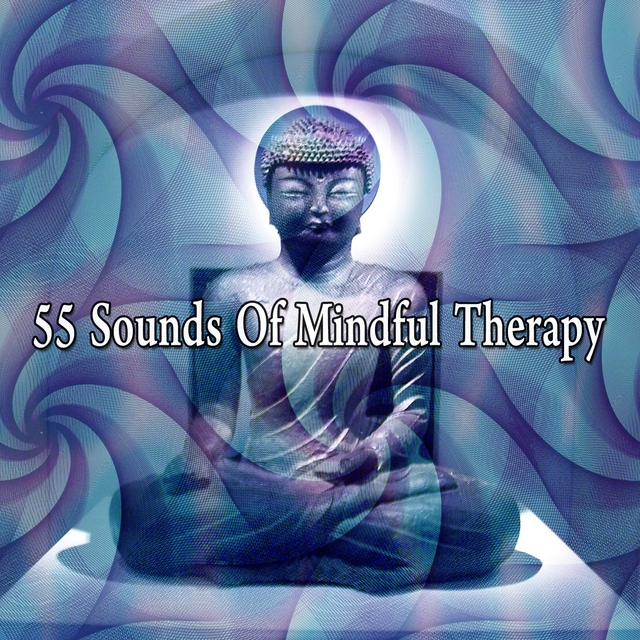 Couverture de 55 Sounds Of Mindful Therapy