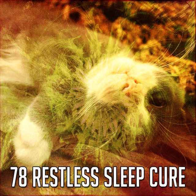 78 Restless Sleep Cure