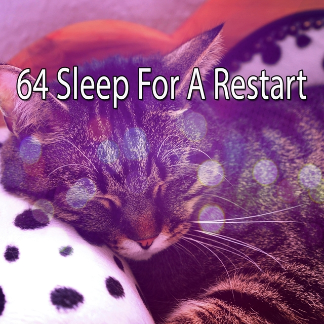 64 Sleep For A Restart