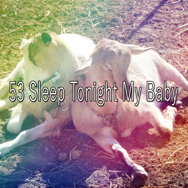 53 Sleep Tonight My Baby