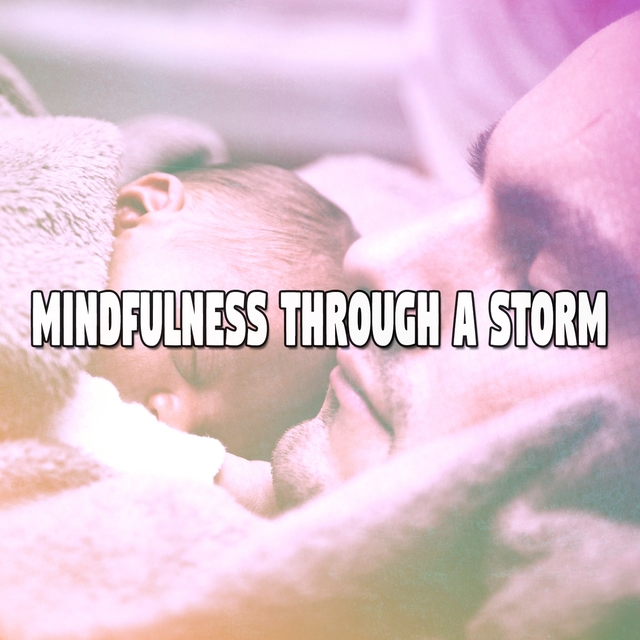 Couverture de Mindfulness Through A Storm