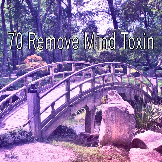 Couverture de 70 Remove Mind Toxin