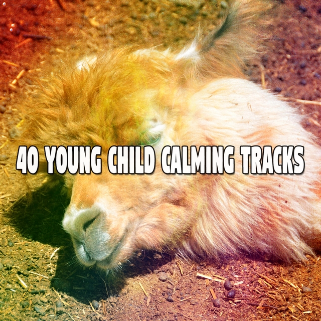 Couverture de 40 Young Child Calming Tracks