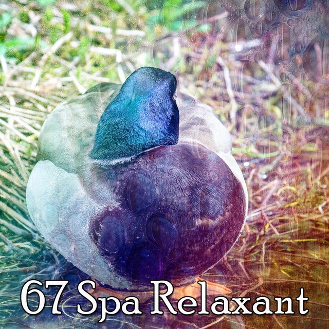 67 Spa Relaxant