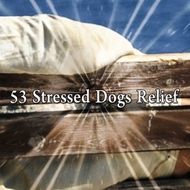 Couverture de 53 Stressed Dogs Relief