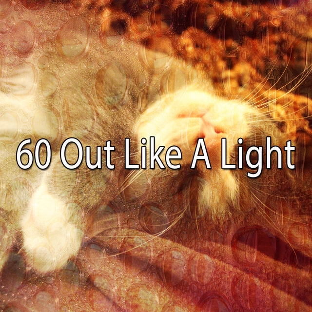 Couverture de 60 Out Like A Light