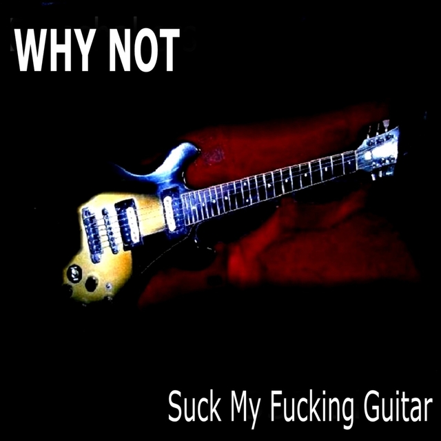 Couverture de Suck My Fucking Guitar