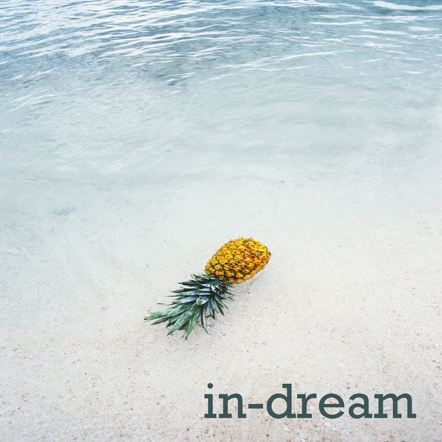 Couverture de In-dream