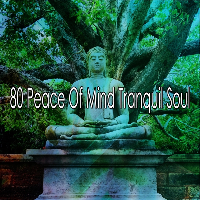 80 Peace Of Mind Tranquil Soul