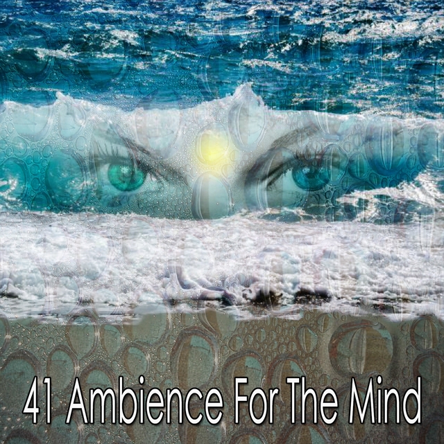 41 Ambience For The Mind