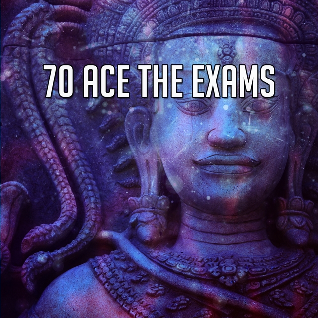Couverture de 70 Ace The Exams
